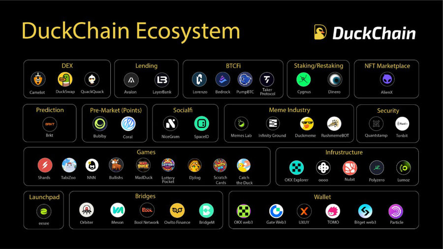 DuckChain (DUCK) là gì? Giải pháp Layer 2 đầu tiên trên TON image 3