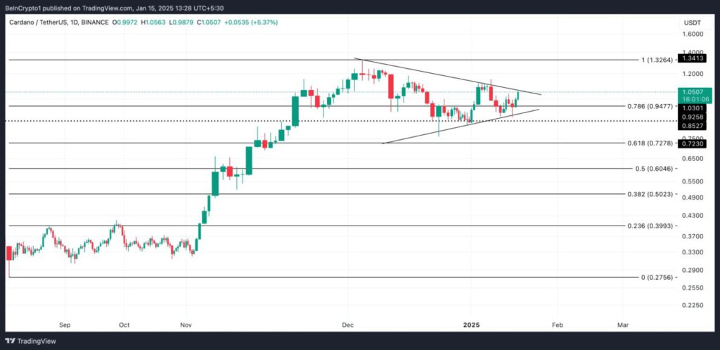 Cardano Alami Peningkatan Waktu Penahanan Koin, Apa Artinya bagi Pasar? (16/1/25) image 2