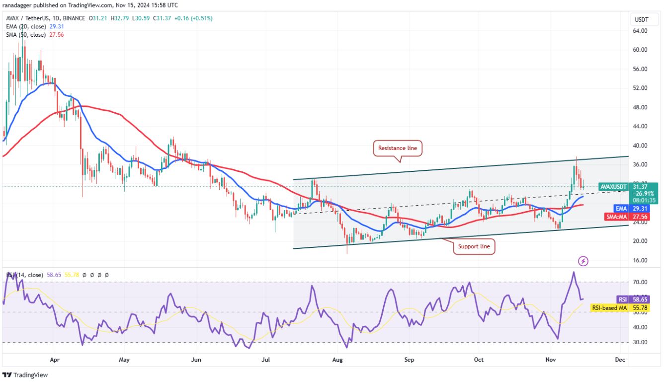 Phân tích kỹ thuật ngày 16 tháng 11: BTC, ETH, SOL, BNB, DOGE, XRP, ADA, SHIB, TON, AVAX image 9