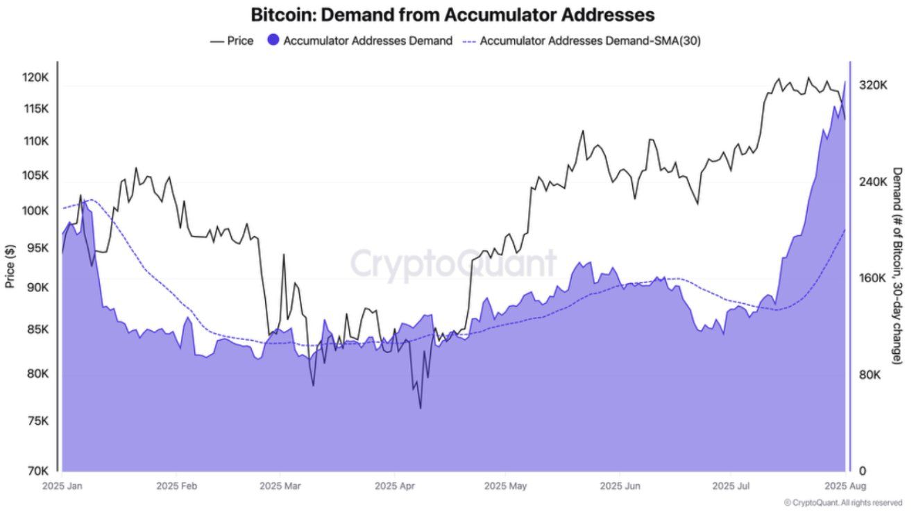 Le graphique des prix du bitcoin a chuté de 4 %, mais sur la chaîne, la demande des détenteurs est en hausse de 160 000 BTC image 3