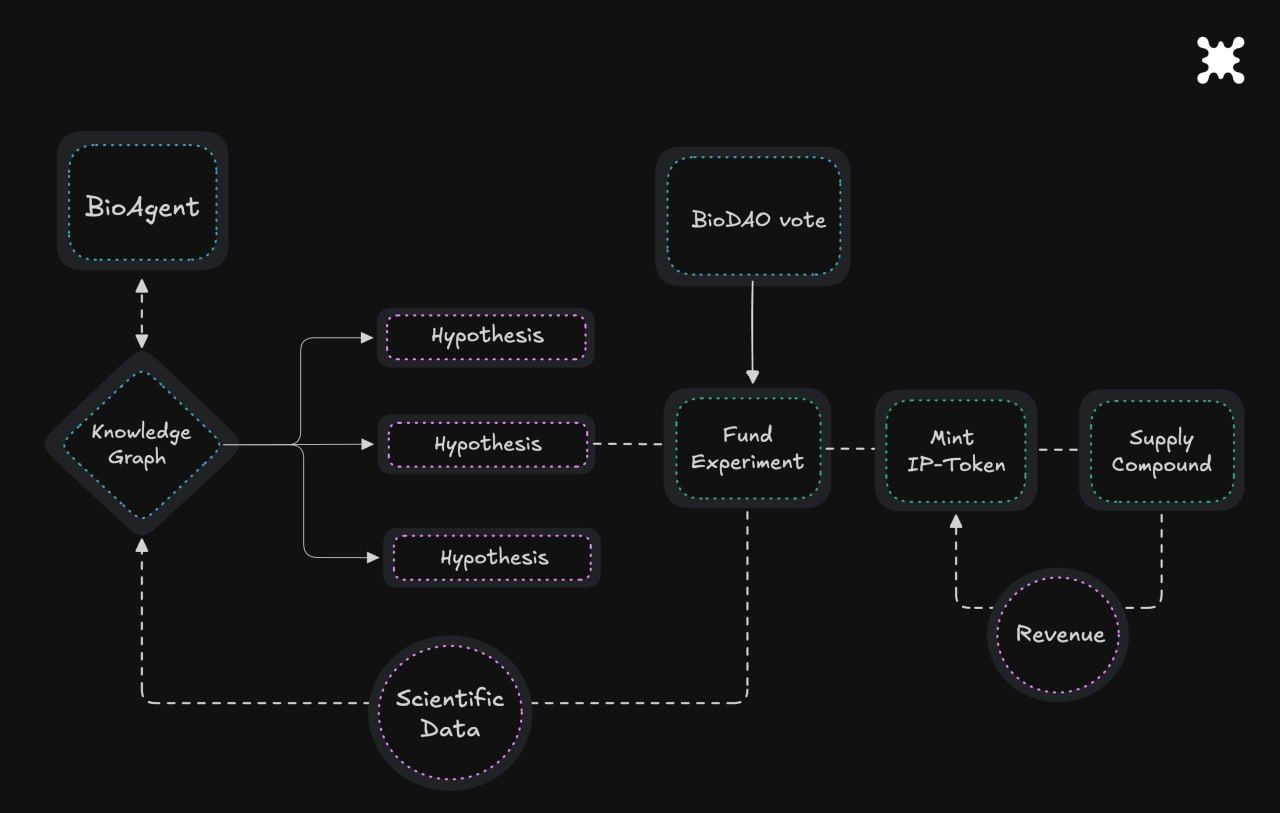 Decentralized Science Project Aubrai Launches on Base to Tackle Science Funding's ‘Valley of Death’