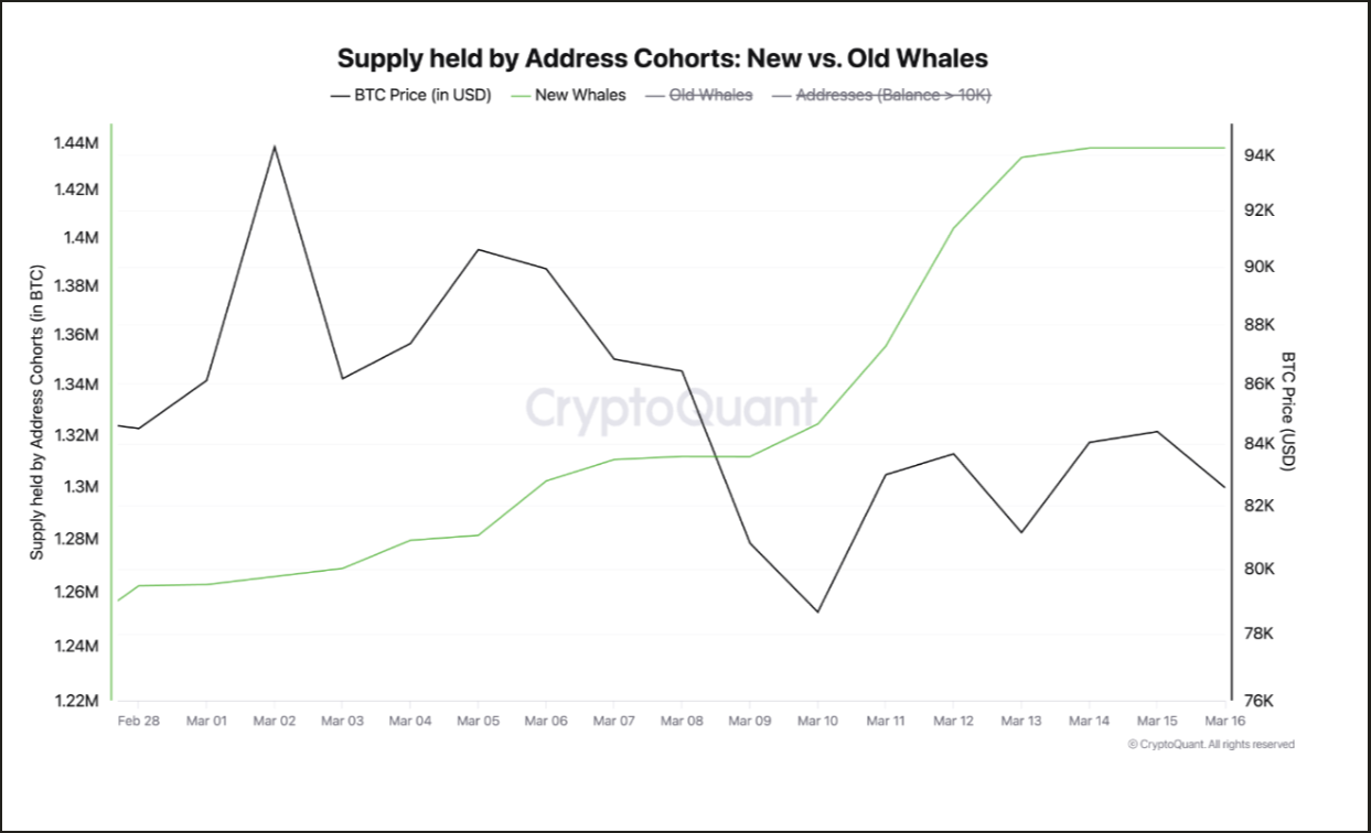 Bitcoin Price Rebound Gains Traction as New Whales Buy Over 200,000 BTC image 0