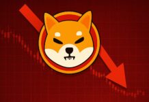 Shiba Inu im Sinkflug – kann sich der Meme Coin erholen?