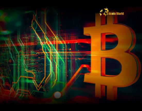 Explosive Bitcoin RHODL Ratio Doubling: Unveiling Holder Behavior Secrets