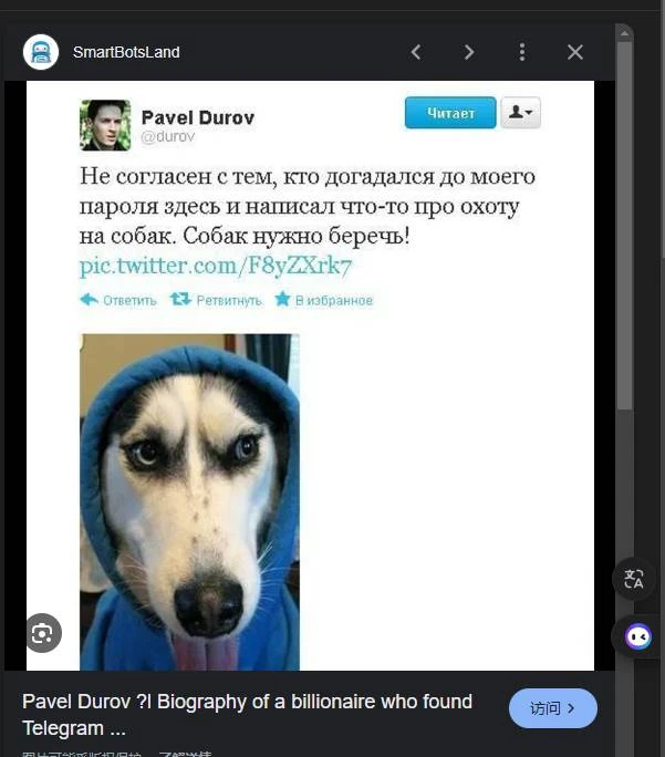 With 1 million fans, what is the origin of the Ton ecosystem Meme DOGS that suddenly became popular? image 0