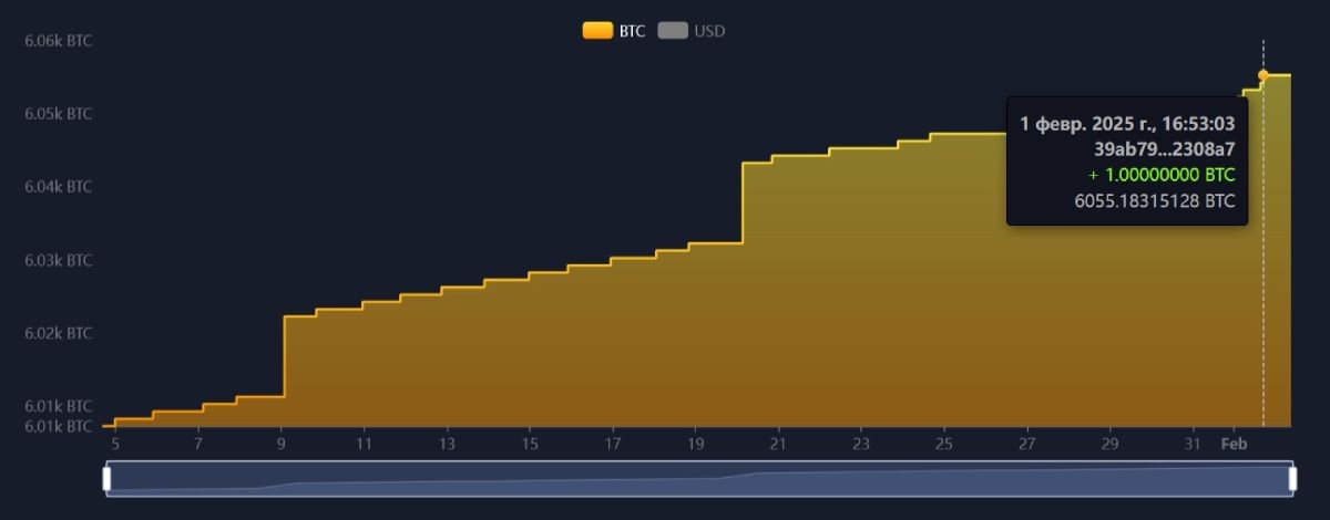 Le Salvador accélère ses achats de bitcoins malgré une pause dans le rallye haussier image 0