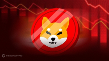 Shiba Inu Marketing Lead Teases Collaboration, Hinting at Major SHIB Burns