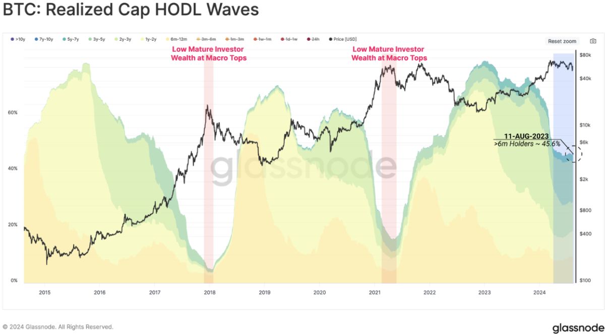 Près de la moitié de l’offre de Bitcoin reste inchangée : qu’est-ce que cela signifie pour les investisseurs ? image 0