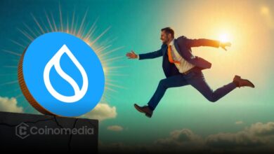 SUI Adds $100M in Stablecoins in Just 2 Weeks