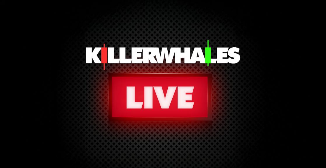 HELLO Labs lancia 'Killer Whales: Live' e apre le candidature per progetti crypto che vogliono presentarsi per uno spazio televisivo
