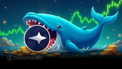 Whale Opens 3× Long on MON, Gains $654K in 12 Hrs