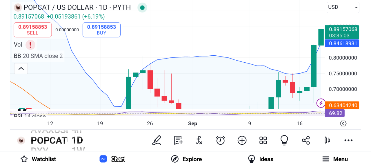 3 Solana Altcoins With High-growth Potential: BONK, BRETT, POPCAT image 5
