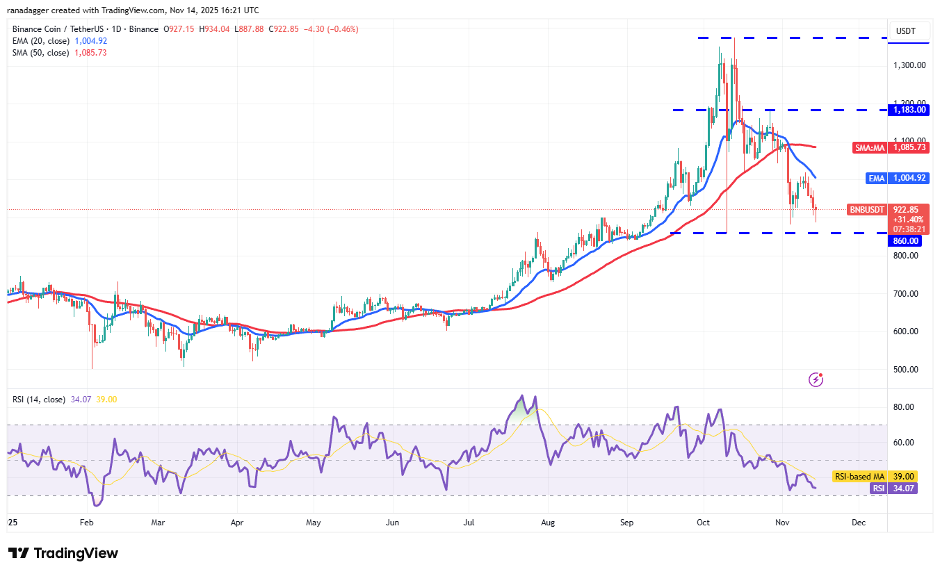 Price predictions 11/14: BTC, ETH, XRP, BNB, SOL, DOGE, ADA, HYPE, LINK, BCH image 4
