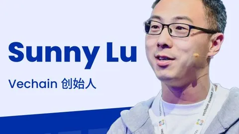 Эксклюзивное интервью с основателем Vechain Sunny Lu: ветераны не умирают, надежда не угасает