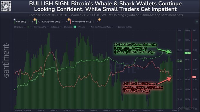 Bitcoin Whales and Sharks Gobble Up $7,890,599,380 in BTC in Just Six Weeks, Says Analytics Platform – Here’s What It Means image 0