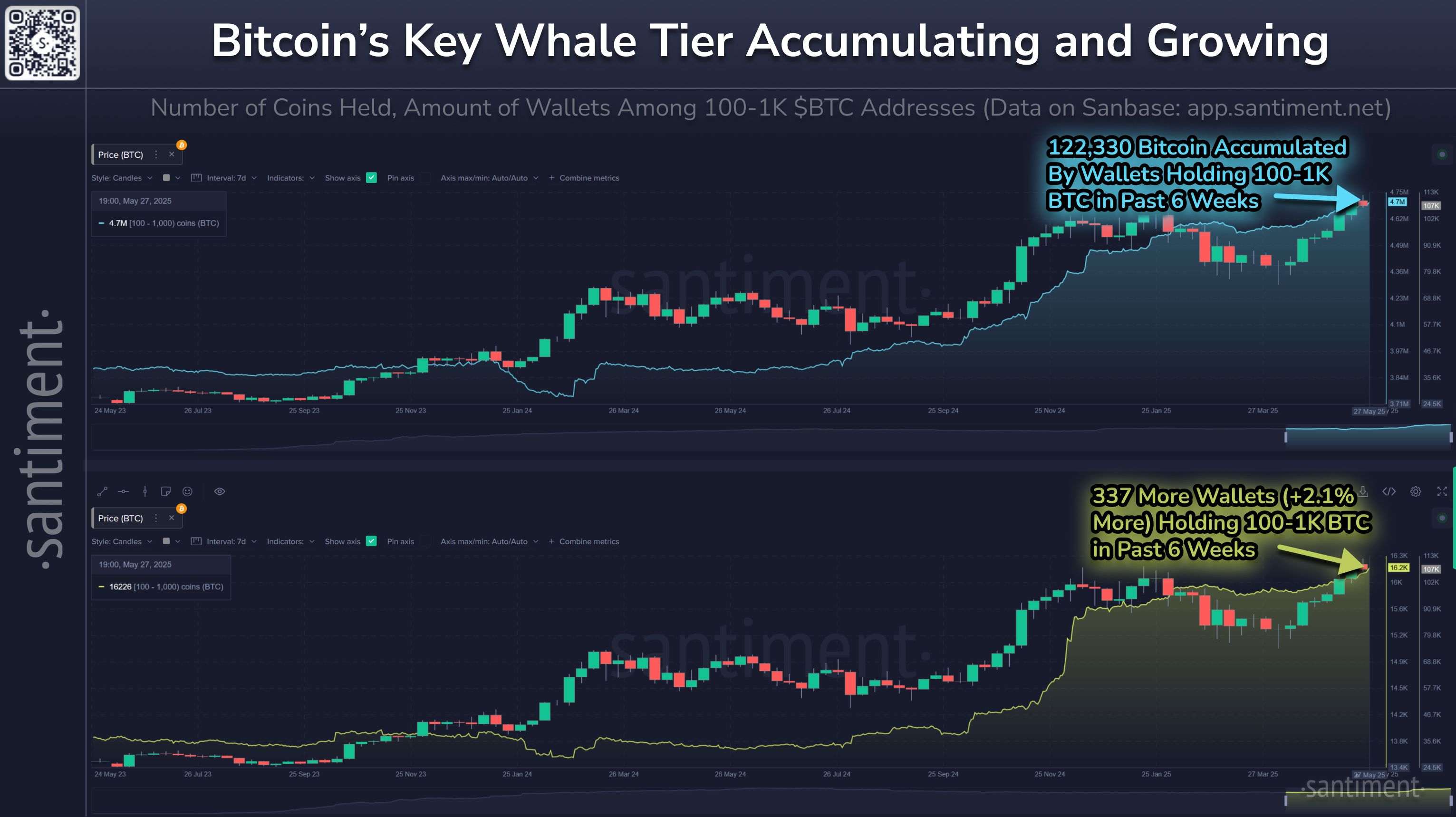 100-1K BTC Wallets Not Slowing Down image 0