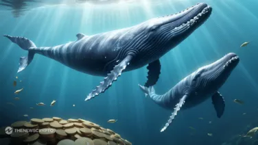 3M Worth PENDLE Whale Transfer Heightens Its Selling Pressure