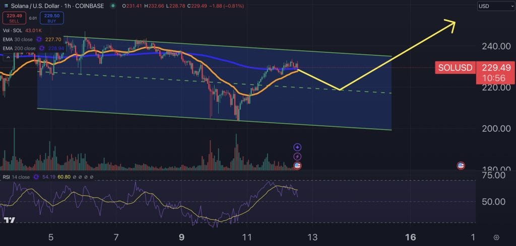 Solana Surges Past $230 – Is a $750 Price Target Now in Play? image 1