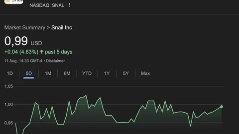 US Subsidiary of Early Chinese Game Dev Snail Digital Explores Stablecoin