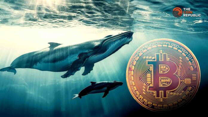 Recuperación del precio de Ethereum – ¿Inversión de la tendencia o rebote temporal?
