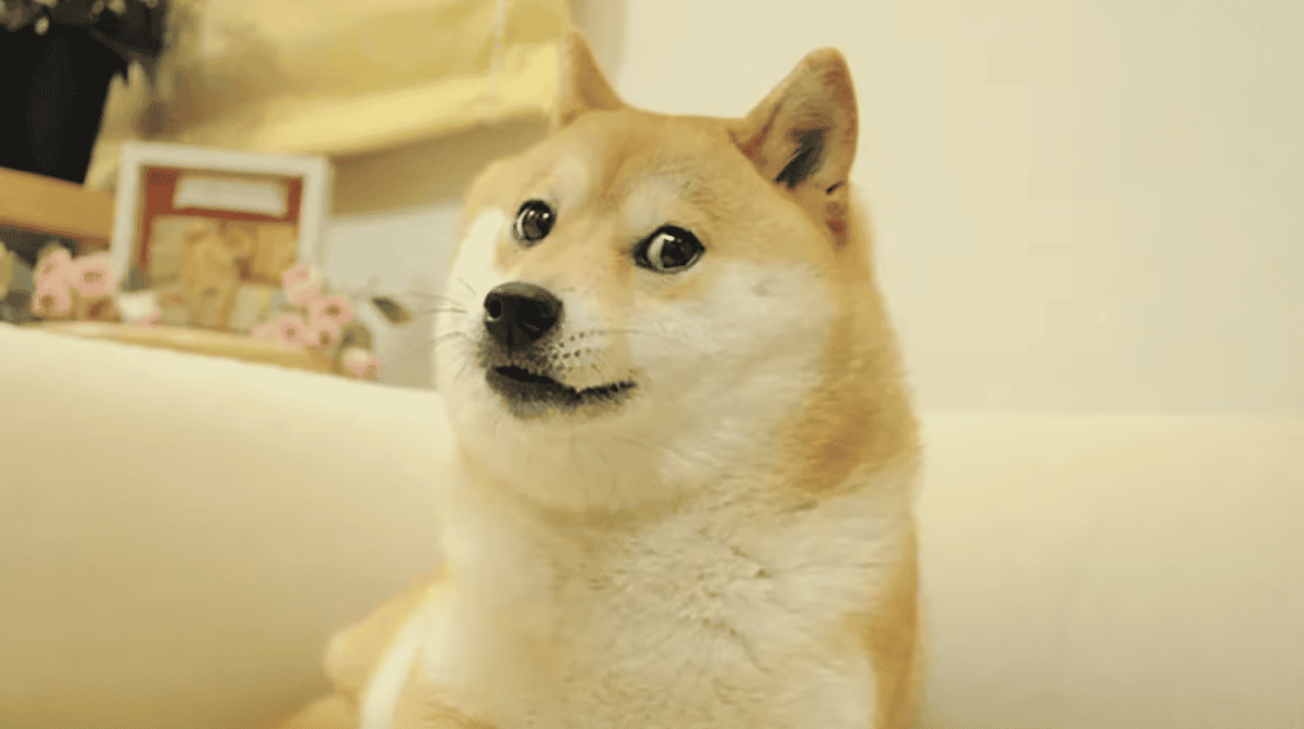 La empresa de tesorería de Dogecoin, CleanCore, posee 710 millones de DOGE mientras espera el registro de acciones ante la SEC