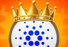 Krypto News: Das ändert alles! Bitcoin goes Cardano (ADA) – neues Feature vernetzt die Blockchains! „Cardano wird der König sein“