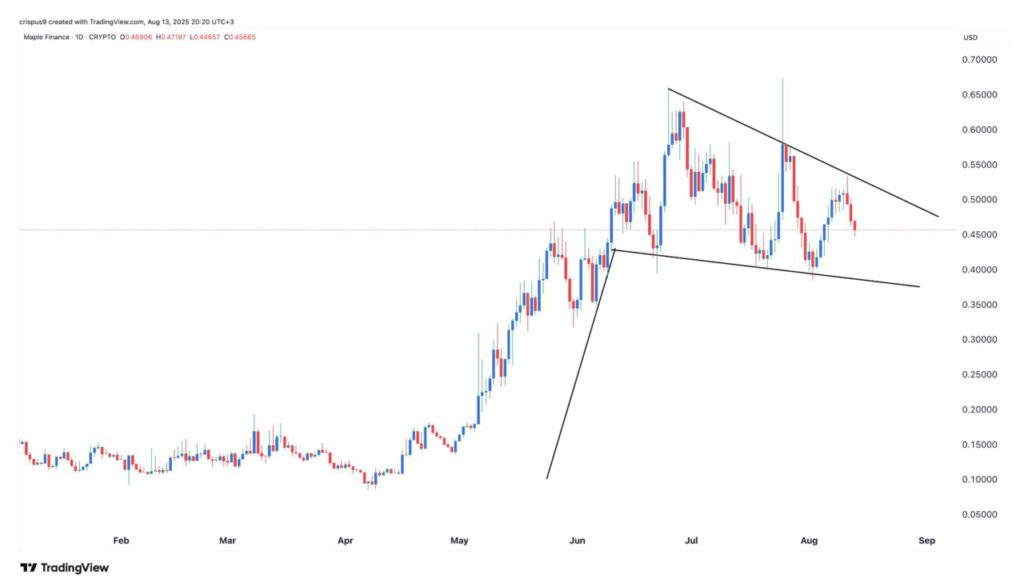 3 Crypto yang ‘Diawasi’ Menjelang Bull Run Crypto, Kenapa? image 1