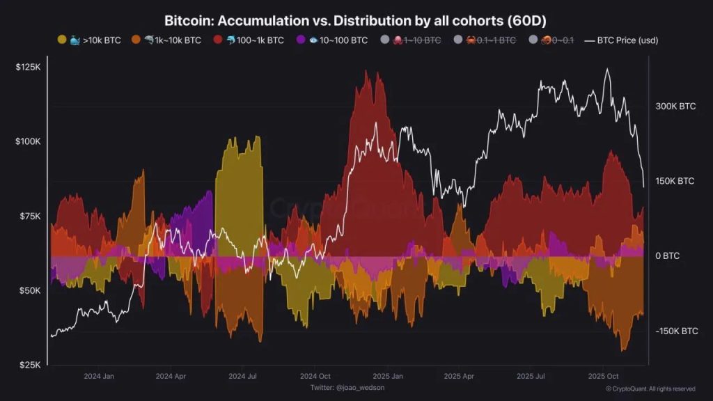 Bitcoin emporte le marché dans un rebond exceptionnel : 100 Mds $ en 24h image 1