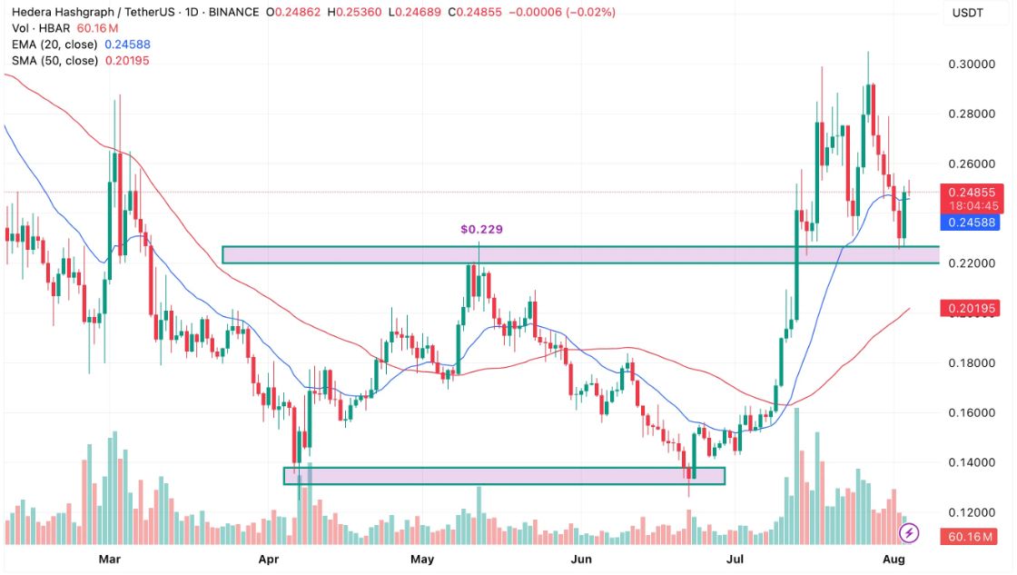 HBAR Faces Key Support at $0.25 Amid Signs of Potential Reversal After 130% Rally image 0