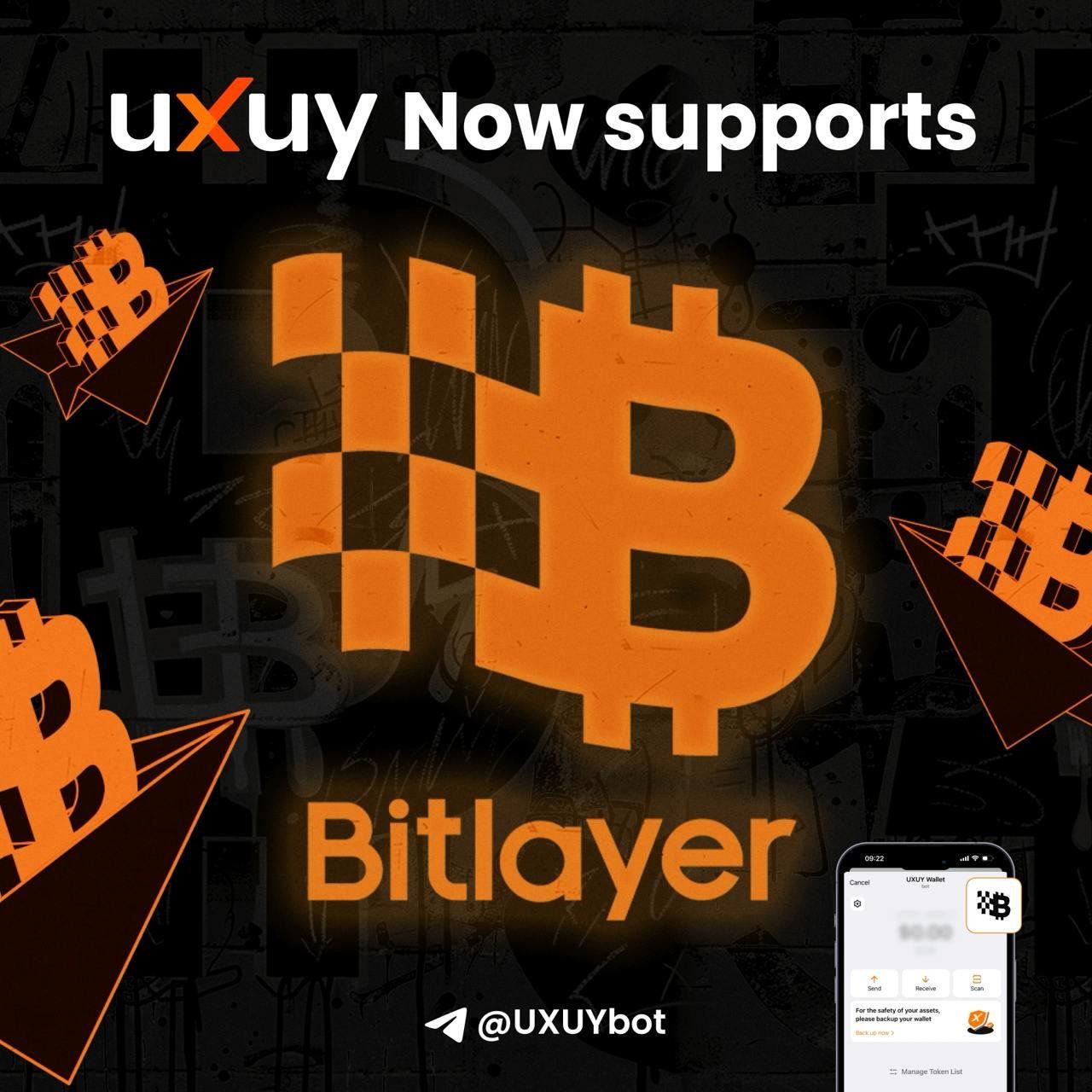 五项目入选Bitlayer首期开发者加速计划,RollDex获100万美金Grants最高激励 image 3