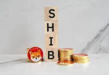 Krypto News: Kommt der Shiba Inu ETF? SHIB-Mitarbeiter spekuliert: Investieren ‘Boomer’ in den ‘Doggy Coin’?