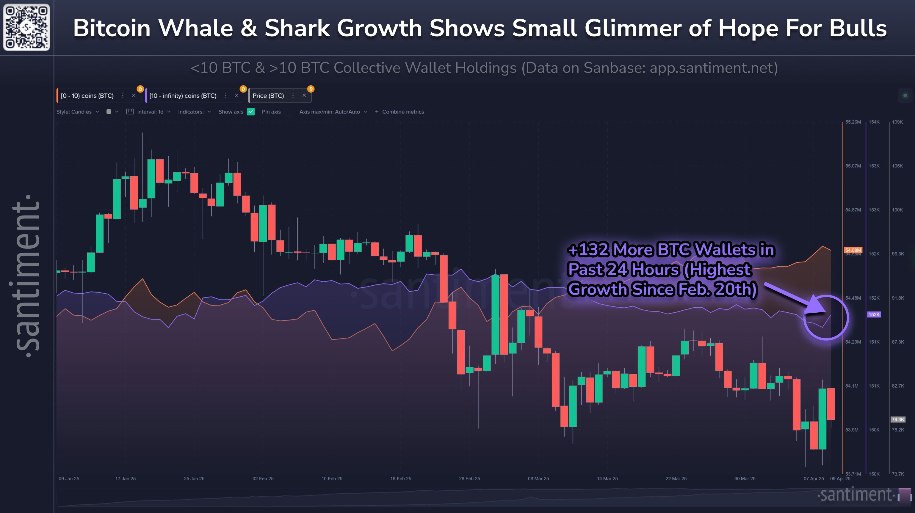 Bitcoin's Key Stakeholders Reveal a Slight Uptick In Confidence image 0