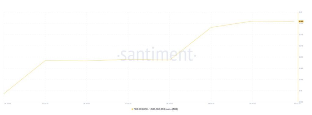 3 Crypto yang Jadi Sorotan Para Whale di Agustus 2025 image 0