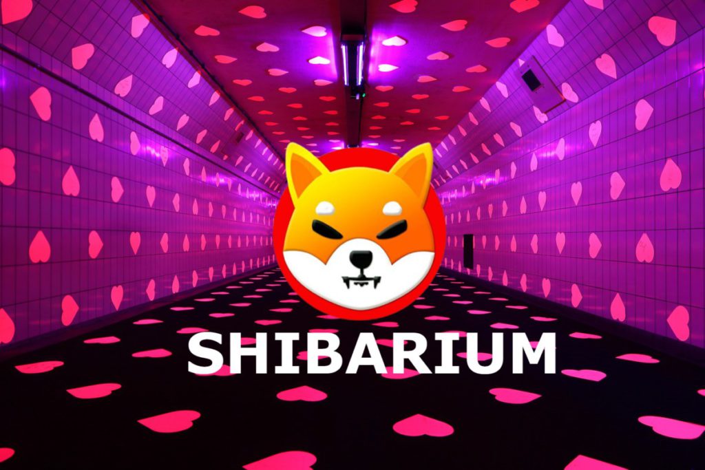ShibaSwap Siap Hadirkan Liquid Staking: Apa Dampaknya bagi Ekosistem Shiba Inu? image 0