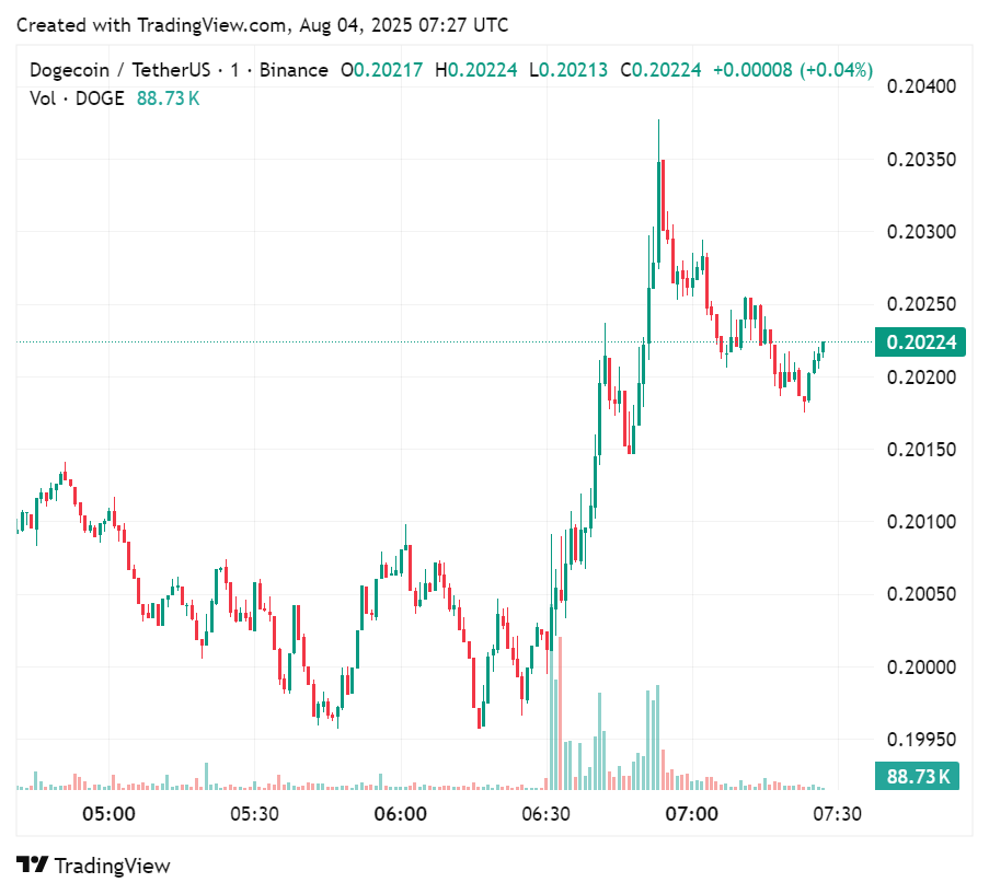What Elon’s purchase of Vine may mean for his social media and crypto empire image 1