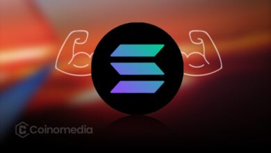 GMGN Earns $60M in SOL, Powers Solana Growth