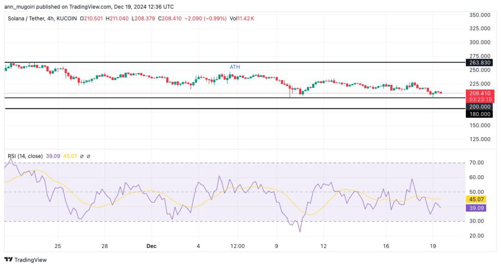 Harga Solana Anjlok: Apakah Akan Turun di Bawah $200? (20/12/24) image 2