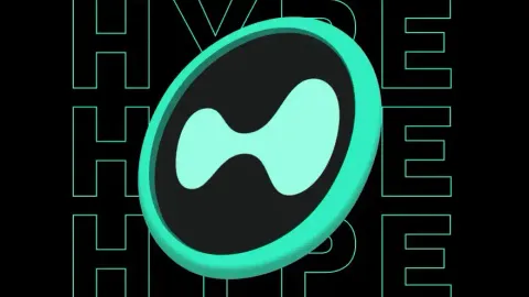 A $500,000 Ticker Bought Out and "Rebranded by Force"? Hyperliquid's Trust Test