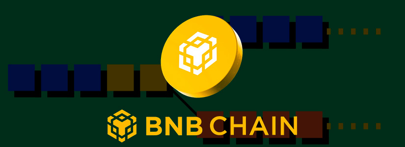 BNB Sube 5.5% y Supera los $850: ¿Qué Dicen los Expertos Sobre su Futuro? image 1