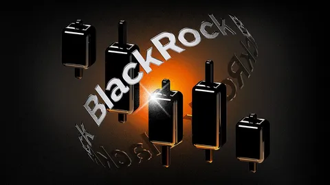 Pinalalalim ng BlackRock ang Pagtaya sa Crypto Market sa Pamamagitan ng Bagong Stablecoin Reserve Fund
