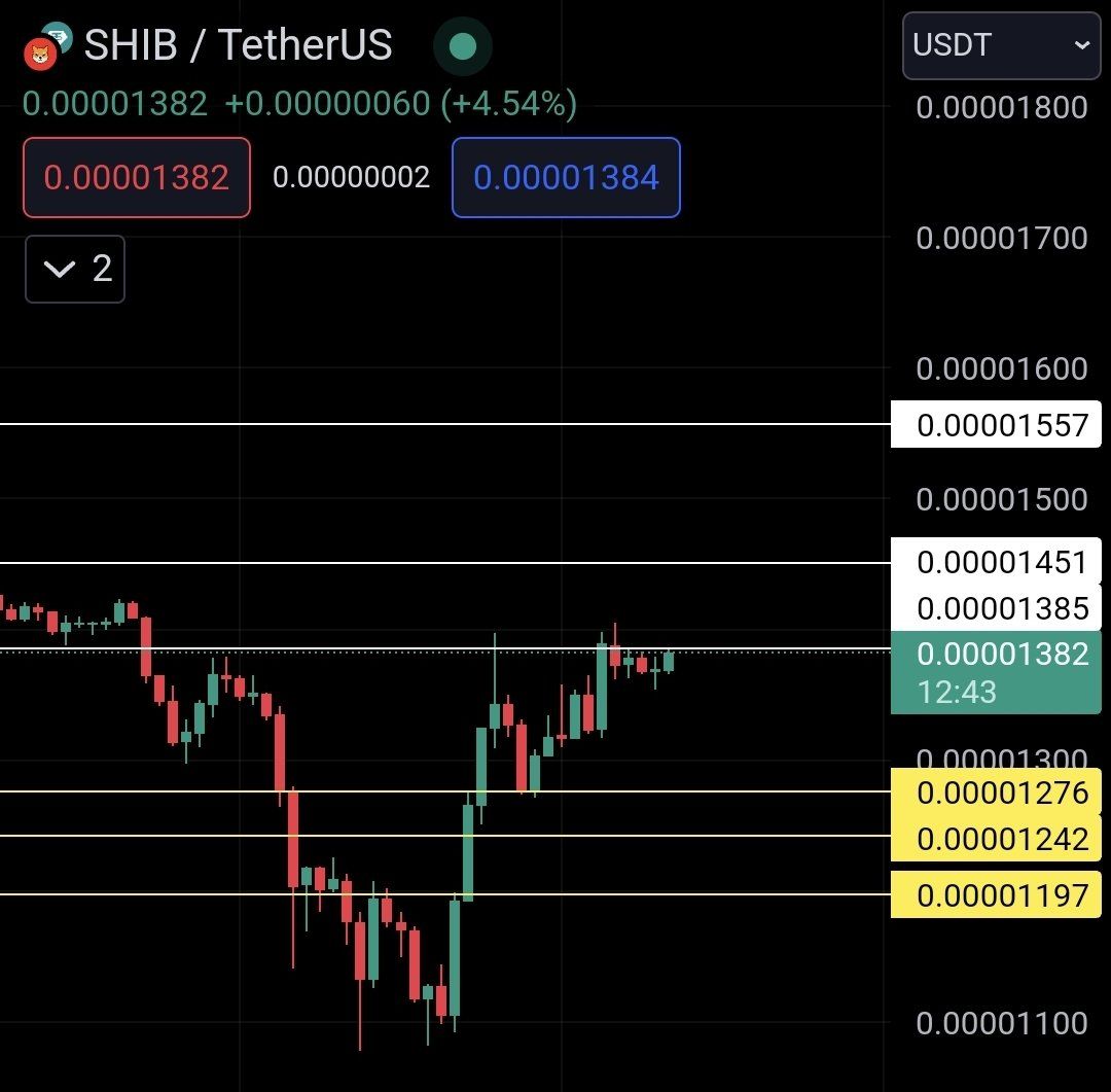 SHIB Shows Strong Recovery, Sets New Price Targets image 1