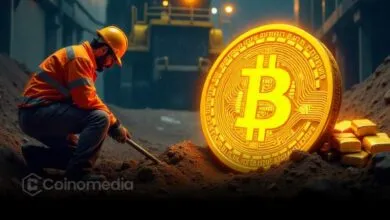 Un mineur solo décroche le jackpot avec le bloc Bitcoin 912632