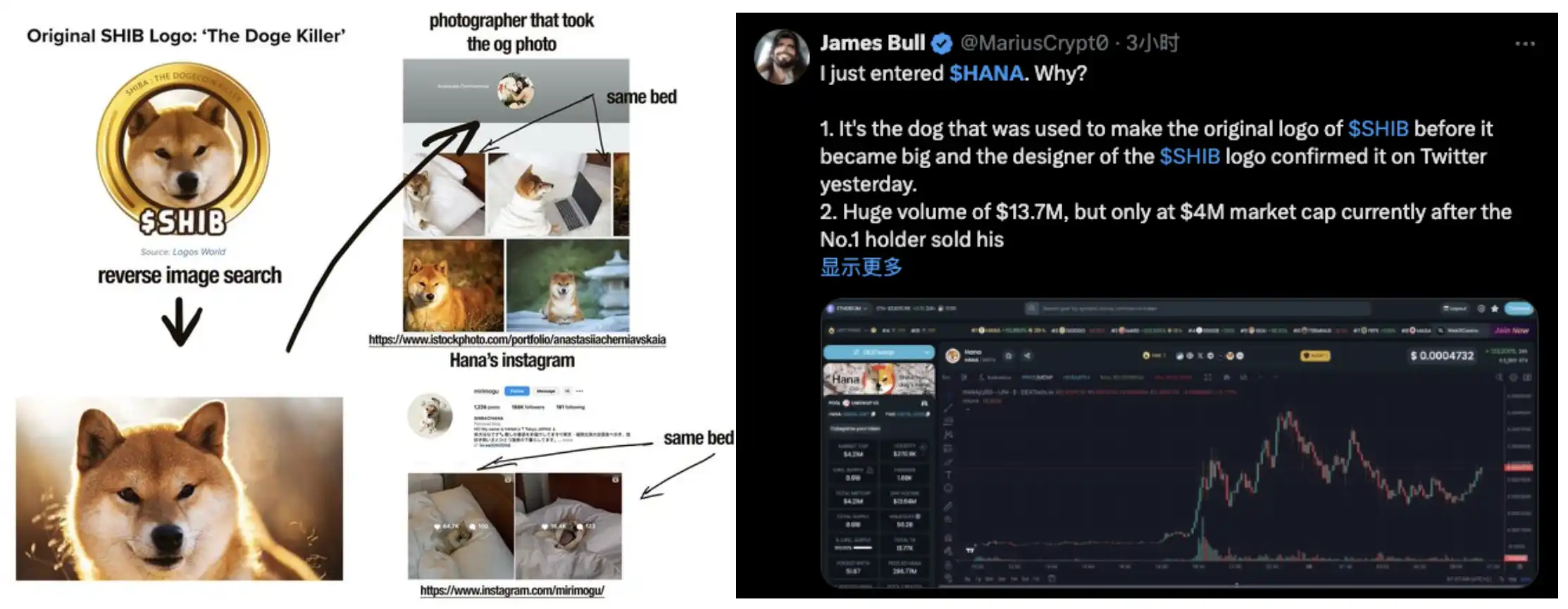Ethereum recreates “a hundred dogs barking”: SHIBA prototype dog meme grows 50 times in one day image 0