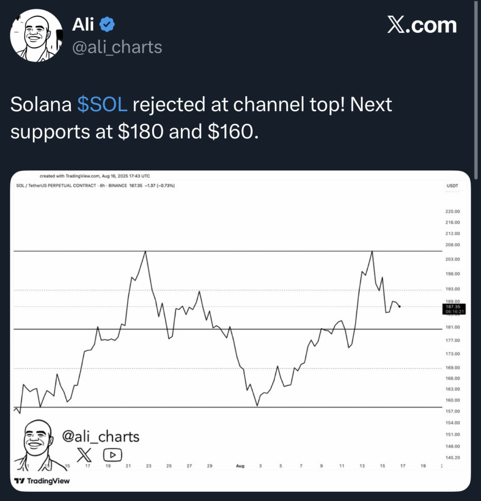 Цена Solana растет, но один “медвежий” паттерн грозит обвалом на 17%. image 3