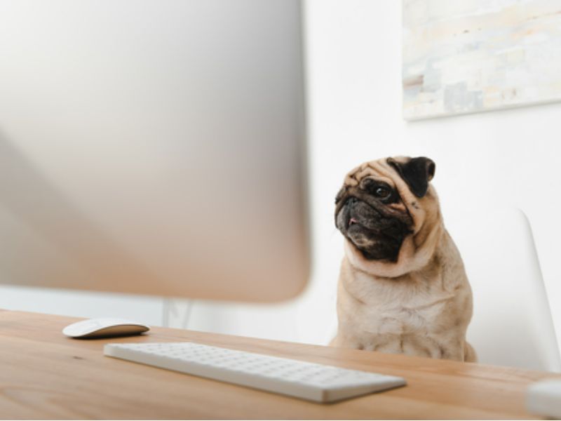 美股异动 | 华纳兄弟探索(WBD.US)涨近4% 9月以来大涨150%