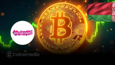 Wildberries Enables Bitcoin Payments in Belarus