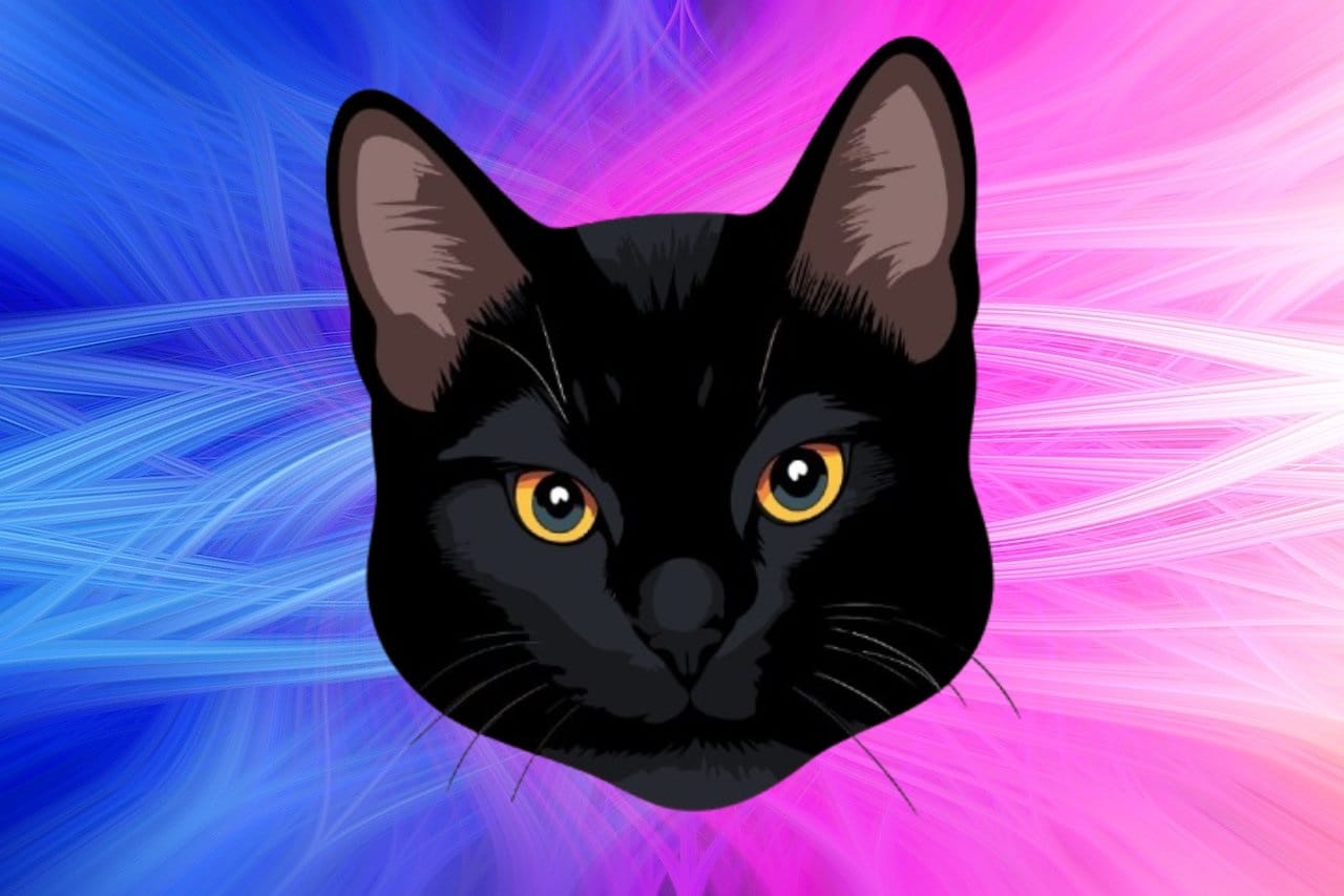 POPCAT Is First $1Bn Cat Coin: But MOG Coin and MEW Coin Aim to Steal Crown image 0