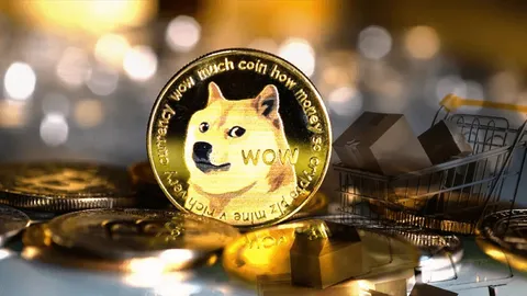 Dogecoin Could Reach a New All-Time High According to Historical Trends