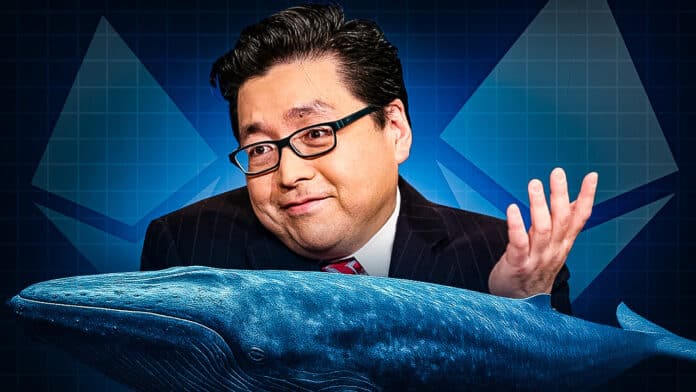 Ethereum Prognose: „Wale kaufen ETH wie nie zuvor in der Geschichte“ – ETH-Guru Tom Lee nennt Jahres-Endkurs 2025 image 0