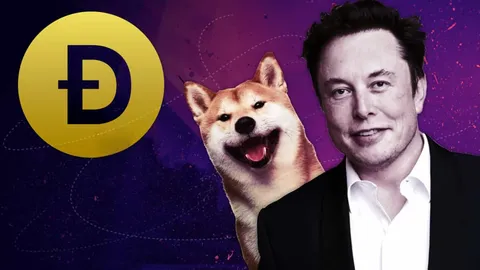 Ежедневно: цена DOGE падает, так как Маск заявляет, что "нет планов" использовать Dogecoin, BlackRock предупреждает, что доллар может потерять статус резервной валюты в пользу биткоина и другие новости